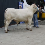 WCC Nagy-Britannia 2012 - DZ